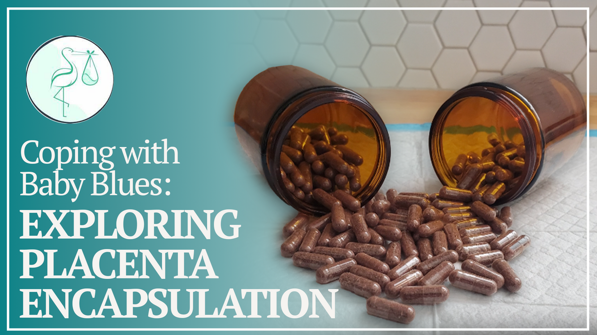 Folate Vs. Folic Acid Prenatal Vitamins Which is Better? Stork Helpers